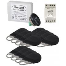  PACK VIGIK HEXACT 12 BADGES 