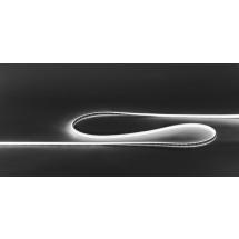  NEON DOME 2700K 5M IP67 