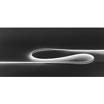  NEON DOME 2700K 5M IP67 