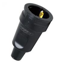  KOPP 180416004 FICHE FEMELLE 2 