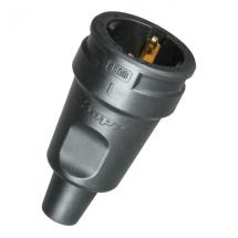  KOPP 180916009 FICHE FEMELLE 2 