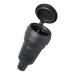 KOPP 181416067 FICHE FEMELLE 2 