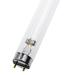  TUBE T8 25W G13 26X437 UVC GER 