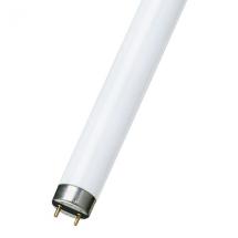  TUBE FLUO T8 15W G13 26X437 BO 
