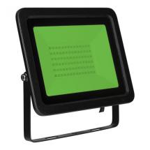  PROJECTEUR LED COULEUR 50W VER 