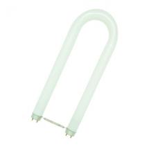  TUBE FLUO T8 FORME U 2G13 36W 