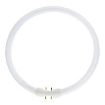  TL5 CIRCULAR 2GX13 55W 840 421 