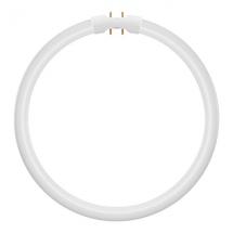  LED CIRC. T5 2GX13 11.6W 33V 1 