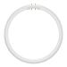  LED CIRC. T5 2GX13 11.6W 33V 1 