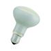  EASY ECO R80 E27 240V 70W 30 