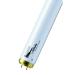  TUBE T12 CLEO PERFORMANCE 40W 