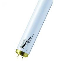  CLEO PERFORMANCE S F71T12 100W 