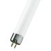  LUMILUXc T5 G5 SHORT 13W 840 