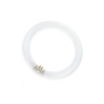  T9 CIRCLINE G10Q 32W BL368 