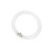  T9 CIRCLINE G10Q 32W BL368 