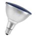  LED PAR38 E27 15W BLEU 50 