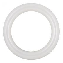 LED ECOBASIC CIRCLINE T9 G10Q 