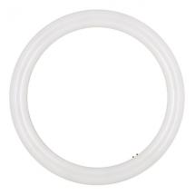  LED ECOBASIC CIRCLINE T9 G10Q 