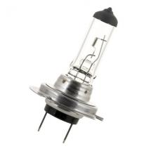  PX26D H7 24V 70W CALOTTE NOIRE 