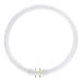  MASTER TL5 CIRCULAR 2GX13 22W 
