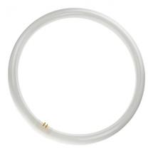  TL-E G10Q 32W 840 CIRCULAIRE 