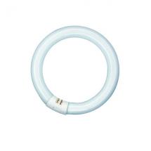  LUMILUXc T9 C G10Q 32W 840 