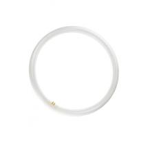  TUBE FLUO TL-E G10Q 40W 830 