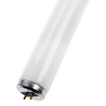  T12 40W/35 38X600 BLANC 