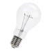  LAMPE GLS E40 100X215 230V 300 
