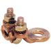  COS MALT BRIDE   25 A 150 