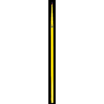      PERCHE TELESCOPIQUE DE MAN 