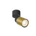  PURI 2.0 Tube CW bla/or 