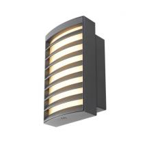  RASTERLYS WL PHASE anthracite 