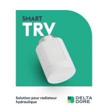  SMART TRV 