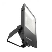  Evolve2 150W 3000K 30gr noir 1 