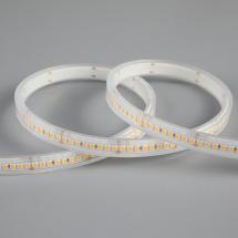  RUBAN PERFORMANCE 1500LM/M  IP 