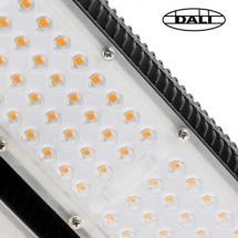  SONG PROJ LED NR 100W 2900K 12 