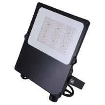  CAMUS II PROJECTEUR ASYMETRIQU 