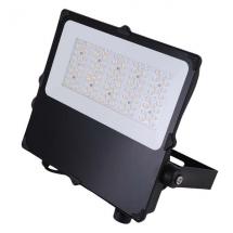  CAMUS II PROJECTEUR ASYMETRIQU 