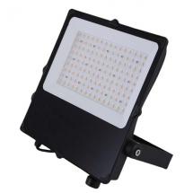  CAMUS II PROJECTEUR ASYMETRIQU 