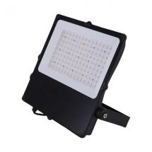  CAMUS II PROJECTEUR ASYMETRIQU 