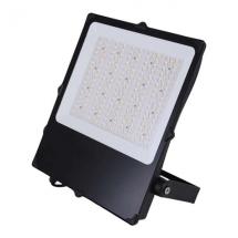  CAMUS II PROJECTEUR ASYMETRIQU 