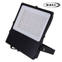  CAMUS II PROJECTEUR ASYMETRIQU 