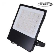  CAMUS II PROJECTEUR ASYMETRIQU 