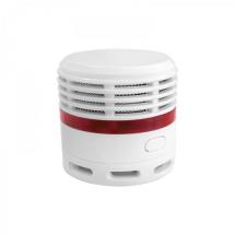  DETECTEUR DE FUMEE AVEC PILE 