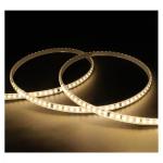  RUBAN 220V 8W/M 830 50M 