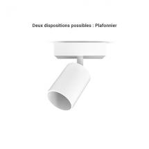  JASMIN APPLIQUE INT PR 1XGU10 