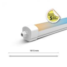  DANUBE CCT II ETANCHE 58W 3CCT 