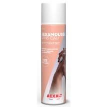  BOMBE NETTOYANT MAIN SANS EAU 