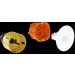  PACK 50 DCL APPLIQUE CL SECHE 